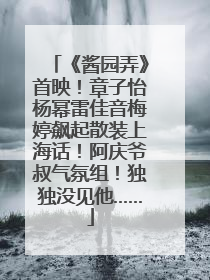 《酱园弄》首映！章子怡杨幂雷佳音梅婷飙起散装上海话！阿庆爷叔气氛组！独独没见他……