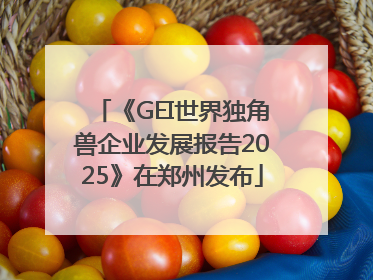 《GEI世界独角兽企业发展报告2025》在郑州发布