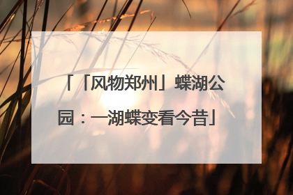 「风物郑州」蝶湖公园：一湖蝶变看今昔