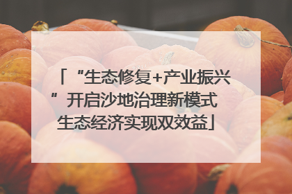 “生态修复+产业振兴”开启沙地治理新模式 生态经济实现双效益