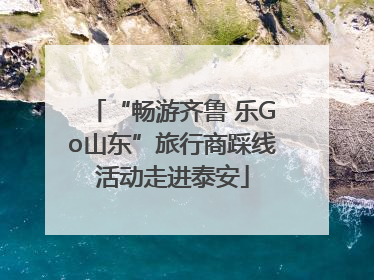 “畅游齐鲁 乐Go山东”旅行商踩线活动走进泰安