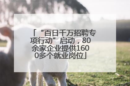 “百日千万招聘专项行动”启动，80余家企业提供1600多个就业岗位