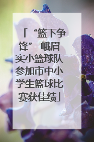 “篮下争锋” 峨眉实小篮球队参加市中小学生篮球比赛获佳绩