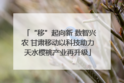“移”起向新 数智兴农 甘肃移动以科技助力天水樱桃产业再升级