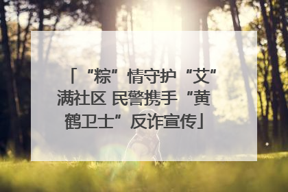 “粽”情守护“艾”满社区 民警携手“黄鹤卫士”反诈宣传