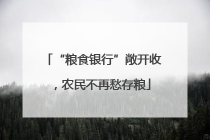 “粮食银行”敞开收，农民不再愁存粮