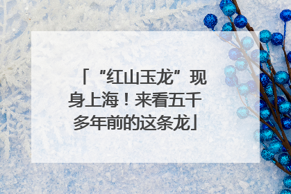 “红山玉龙”现身上海！来看五千多年前的这条龙