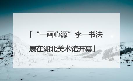 “一画心源”李一书法展在湖北美术馆开幕