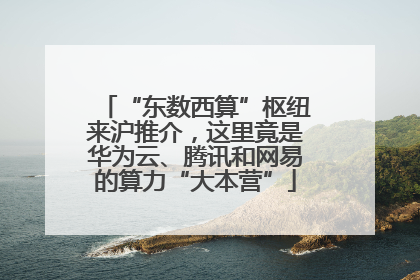 “东数西算”枢纽来沪推介，这里竟是华为云、腾讯和网易的算力“大本营”