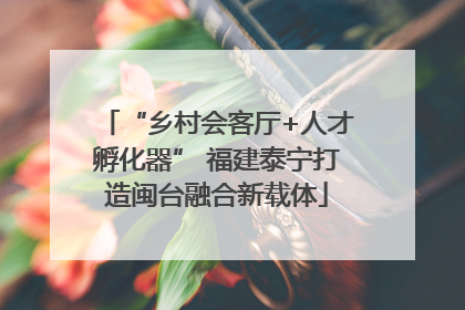 “乡村会客厅+人才孵化器” 福建泰宁打造闽台融合新载体