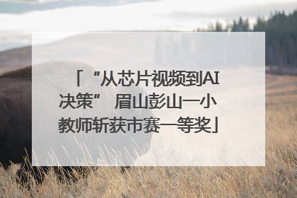 “从芯片视频到AI决策” 眉山彭山一小教师斩获市赛一等奖