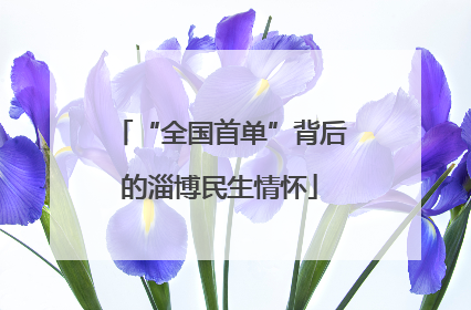 “全国首单”背后的淄博民生情怀