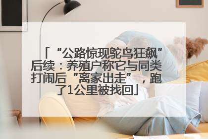 “公路惊现鸵鸟狂飙”后续：养殖户称它与同类打闹后“离家出走”，跑了1公里被找回