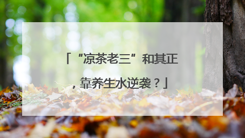 “凉茶老三”和其正，靠养生水逆袭？