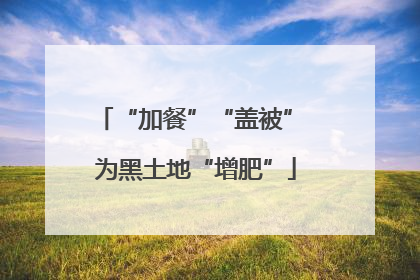 “加餐”“盖被” 为黑土地“增肥”