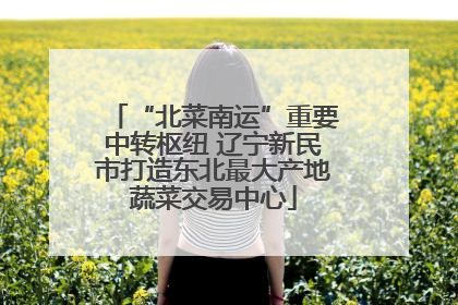 “北菜南运”重要中转枢纽 辽宁新民市打造东北最大产地蔬菜交易中心