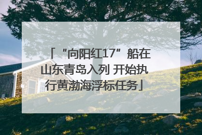 “向阳红17”船在山东青岛入列 开始执行黄渤海浮标任务