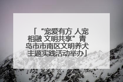 “宠爱有方 人宠相融 文明共享”青岛市市南区文明养犬主题实践活动举办