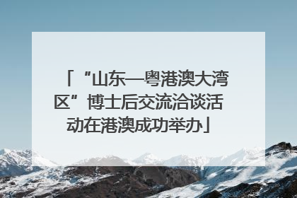 “山东—粤港澳大湾区”博士后交流洽谈活动在港澳成功举办