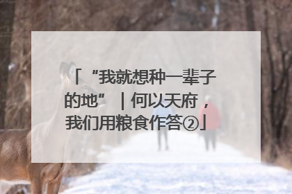“我就想种一辈子的地”｜何以天府，我们用粮食作答②