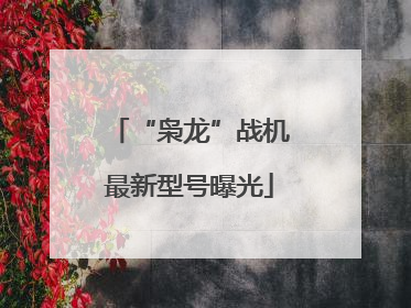 “枭龙”战机最新型号曝光
