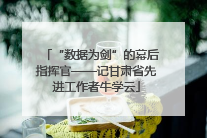 “数据为剑”的幕后指挥官——记甘肃省先进工作者牛学云