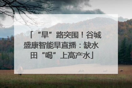 “旱”路突围！谷城盛康智能旱直播：缺水田“喝”上高产水