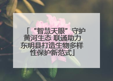 “智慧天眼”守护黄河生态 联通助力东明县打造生物多样性保护新范式