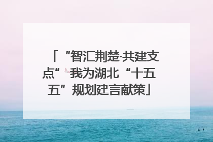 “智汇荆楚·共建支点” 我为湖北“十五五”规划建言献策