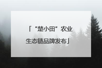 “楚小田”农业生态链品牌发布