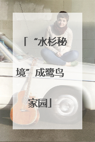 “水杉秘境”成鹭鸟家园