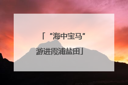 “海中宝马”游进霞浦盐田