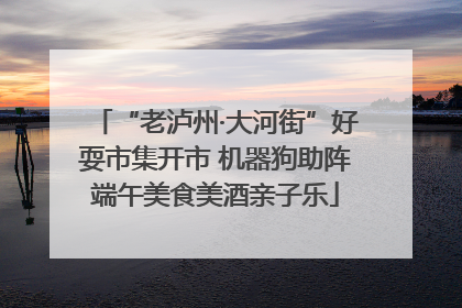 “老泸州·大河街”好耍市集开市 机器狗助阵端午美食美酒亲子乐
