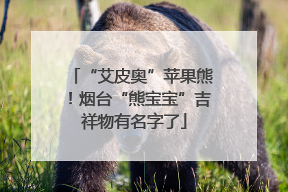 “艾皮奥”苹果熊！烟台“熊宝宝”吉祥物有名字了