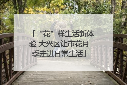 “花”样生活新体验 大兴区让市花月季走进日常生活