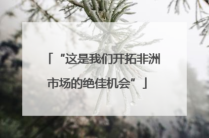“这是我们开拓非洲市场的绝佳机会”