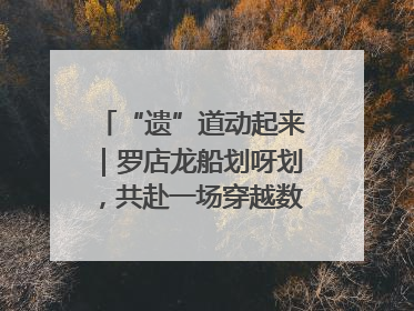 “遗”道动起来｜罗店龙船划呀划，共赴一场穿越数百年的端午之约