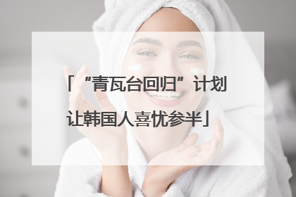 “青瓦台回归”计划让韩国人喜忧参半