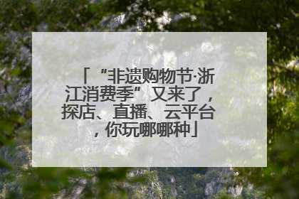 “非遗购物节·浙江消费季”又来了，探店、直播、云平台，你玩哪哪种