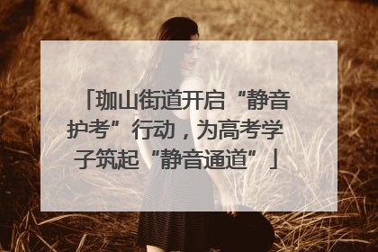 珈山街道开启“静音护考”行动，为高考学子筑起“静音通道”