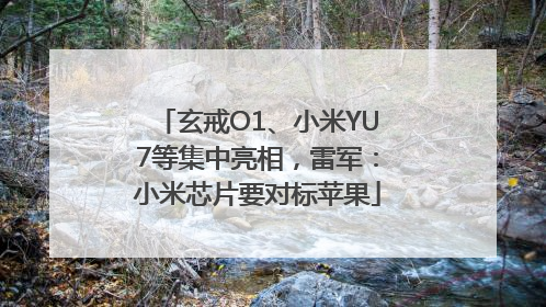 玄戒O1、小米YU7等集中亮相，雷军：小米芯片要对标苹果