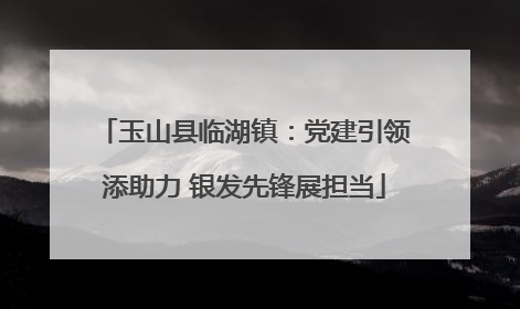玉山县临湖镇：党建引领添助力 银发先锋展担当