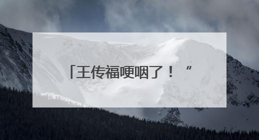 王传福哽咽了！“我们从不拉踩别人，这是原则”！比亚迪：我们不打价格战