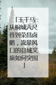 王千马：从桐城六尺巷到荣昌卤鹅，流量风口的县域文旅如何突围