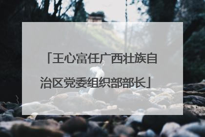 王心富任广西壮族自治区党委组织部部长