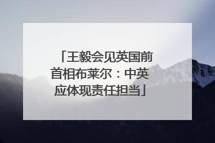 王毅会见英国前首相布莱尔：中英应体现责任担当