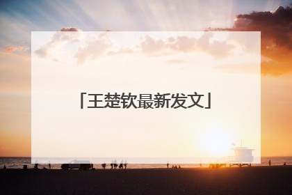 王楚钦最新发文