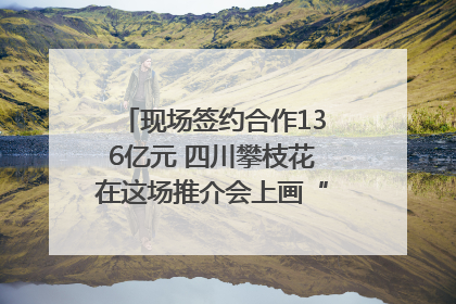 现场签约合作136亿元 四川攀枝花在这场推介会上画“图谱”列“清单”