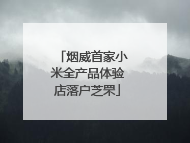 烟威首家小米全产品体验店落户芝罘