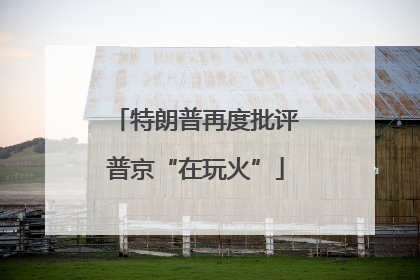 特朗普再度批评普京“在玩火”